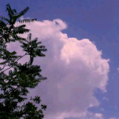 雷电堂变态版下载